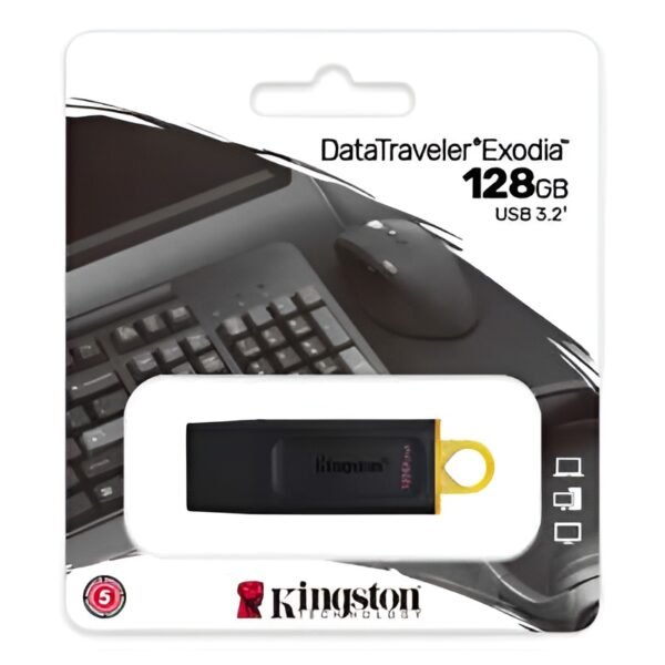 FLASH KINGSTON 256GB